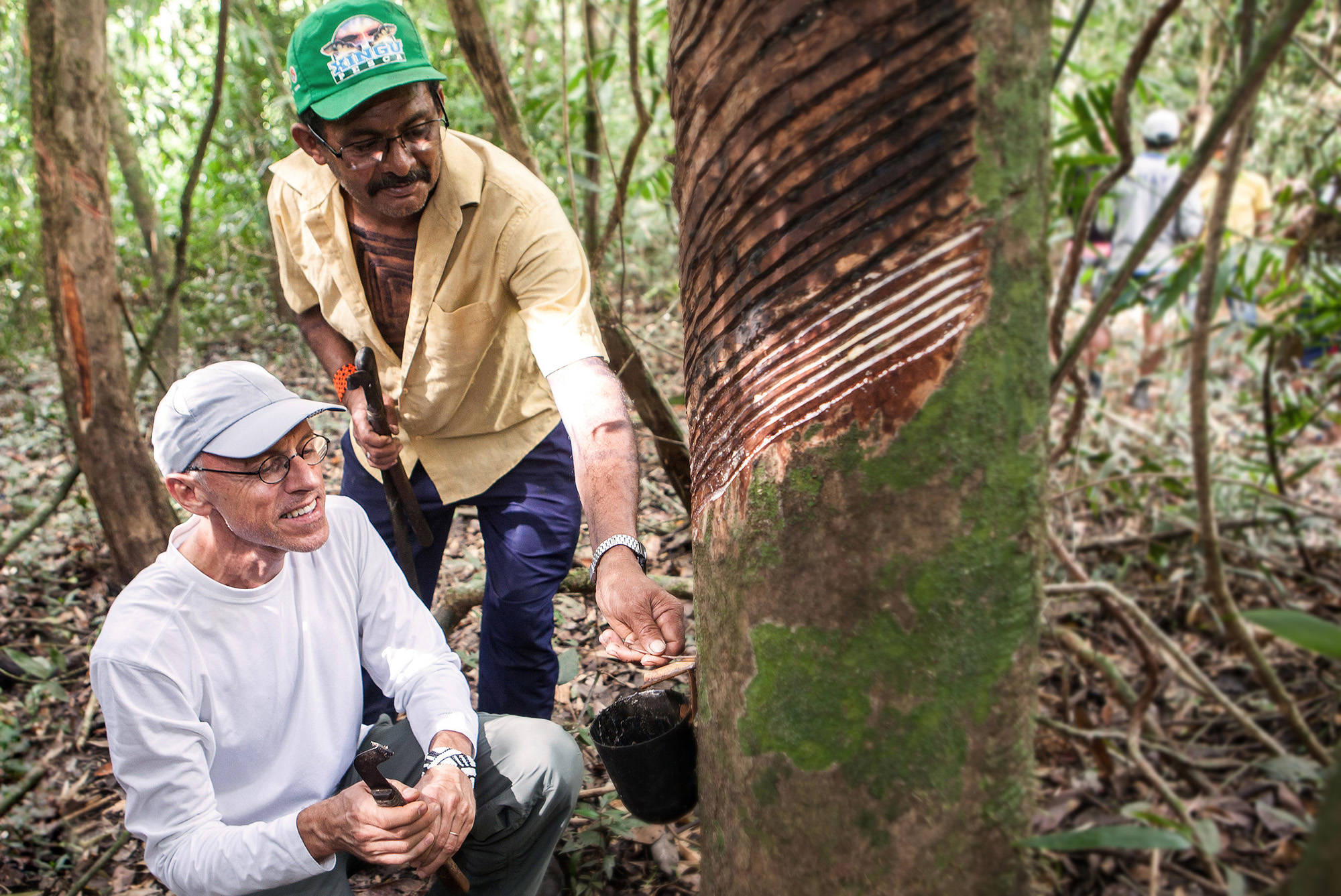 Fortalecimento da cadeia de produção de borracha natural ajuda a manter a floresta em pé