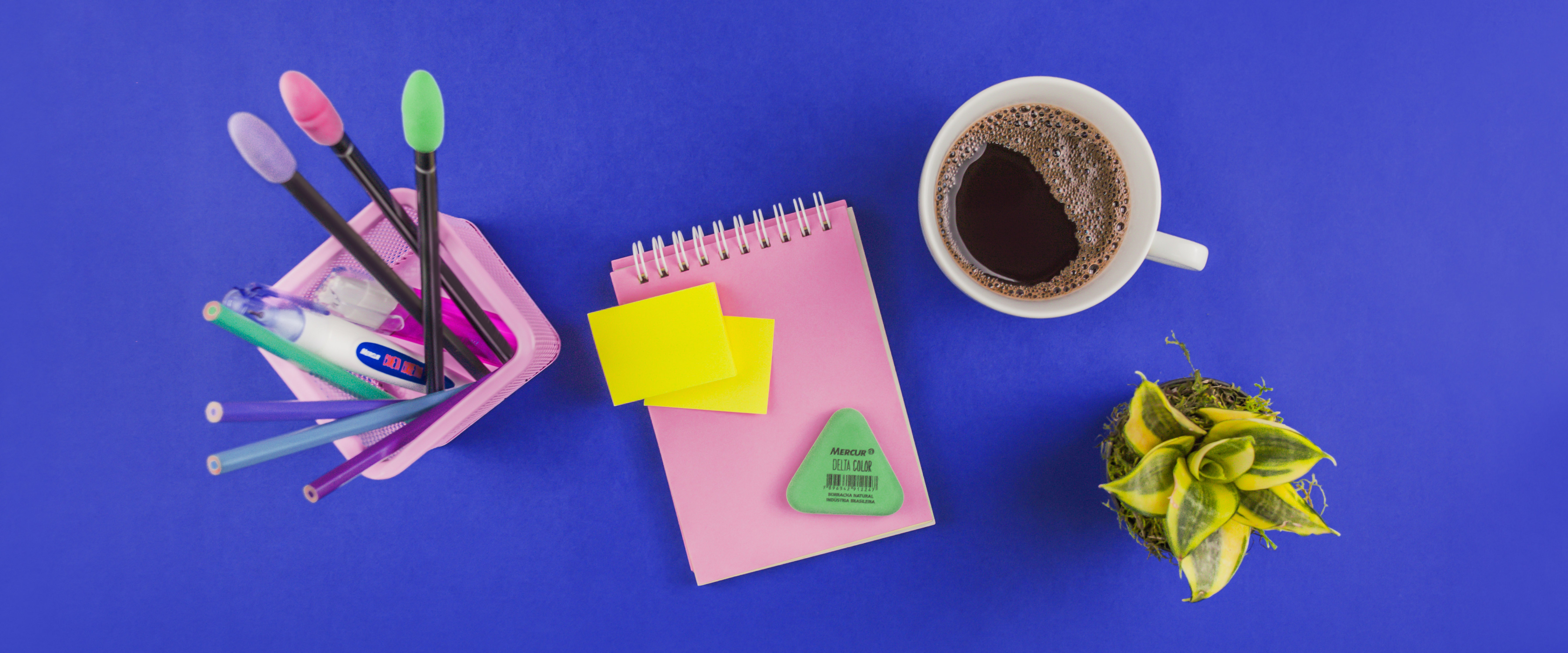 Aprender para a vida: dicas de organização e cuidado para o ano escolar
