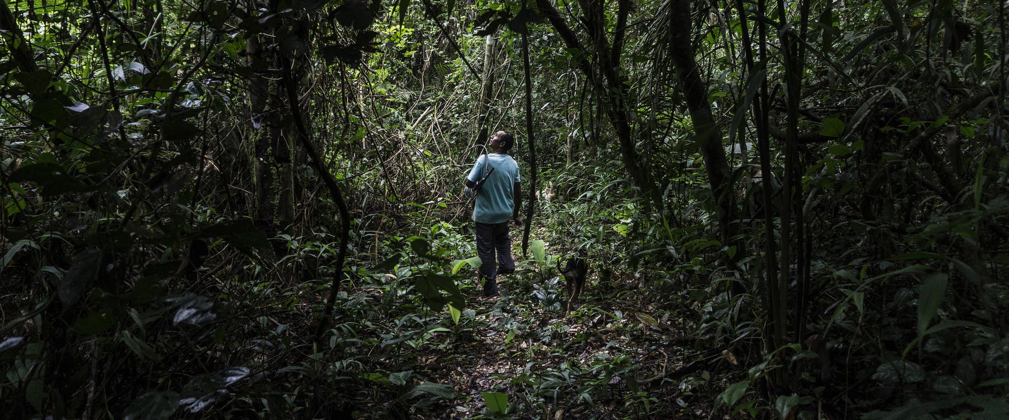 10 anos de aprendizados e trocas com os povos da floresta