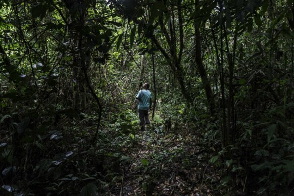 10 anos de aprendizados e trocas com os povos da floresta
