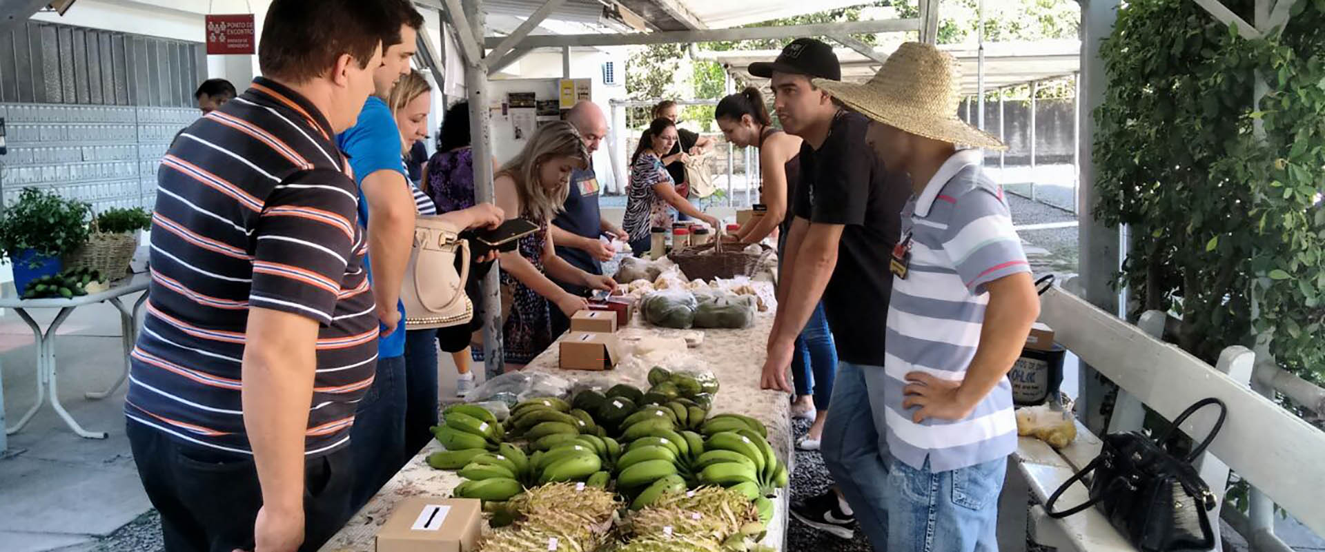 Olhar para comunidade: Desenvolvimento do mercado local pelo bem-estar econômico e social