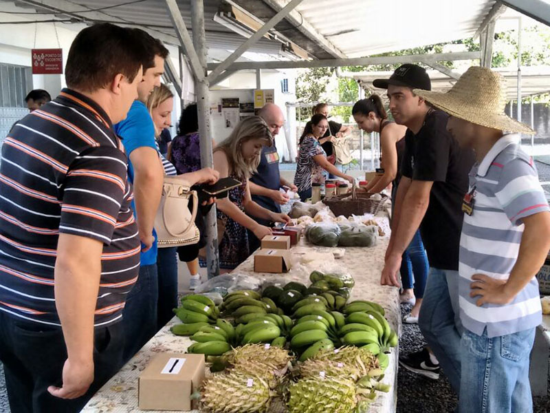 Olhar para comunidade: Desenvolvimento do mercado local pelo bem-estar econômico e social
