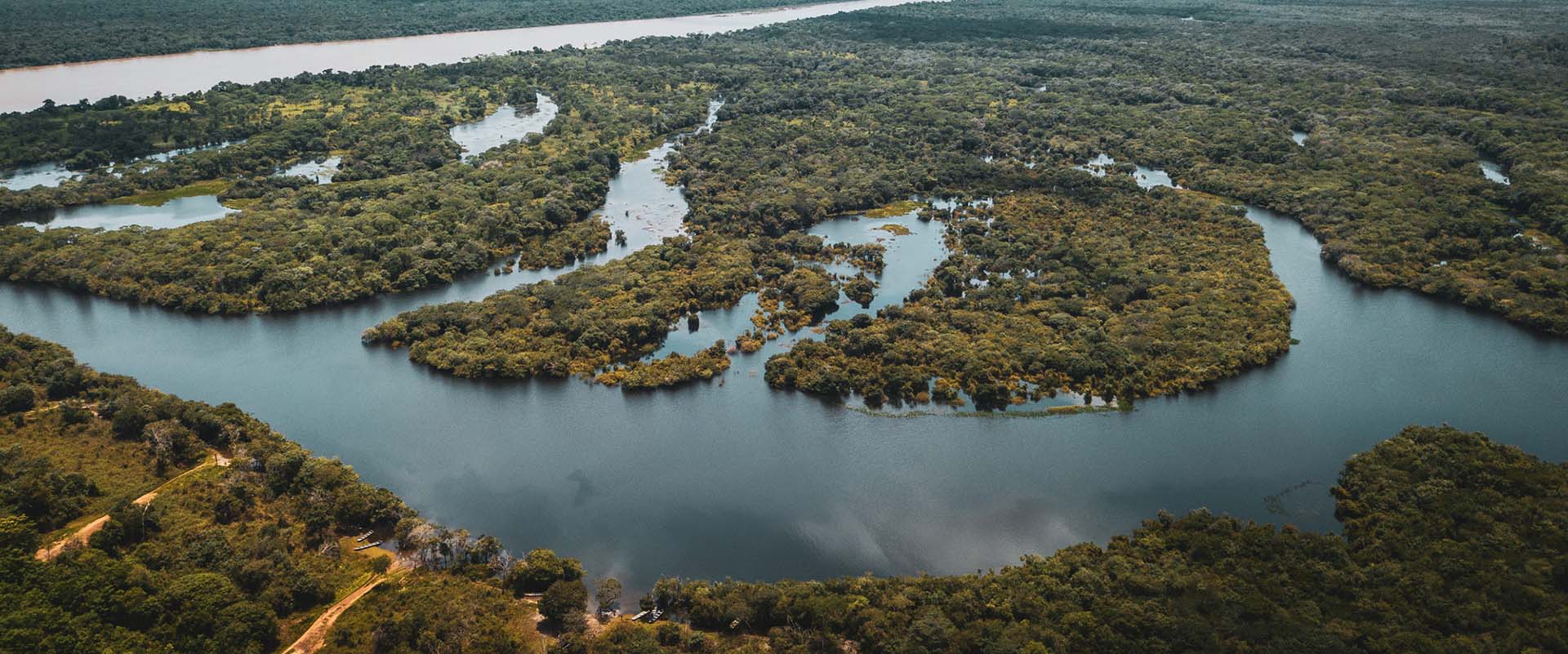 No Dia Mundial da Biodiversidade, empresa reforça iniciativa para proteger a floresta junto com os povos tradicionais e originários da Amazônia