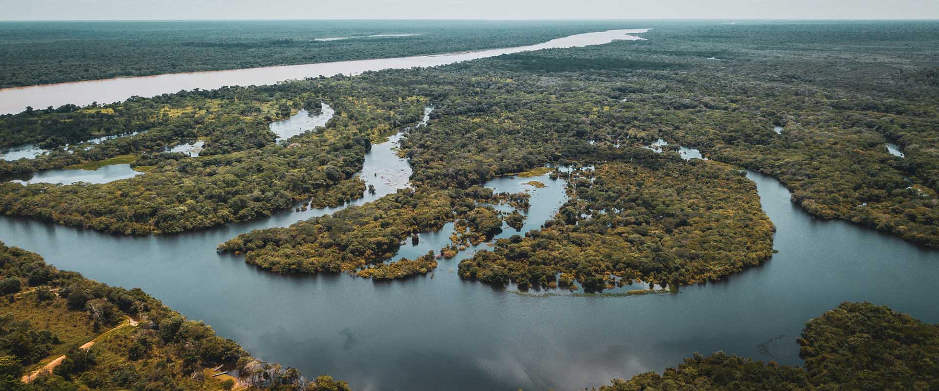 Cuidados com o Planeta Terra: saiba o que você pode fazer para conservá-lo