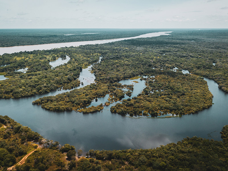Cuidados com o Planeta Terra: saiba o que você pode fazer para conservá-lo