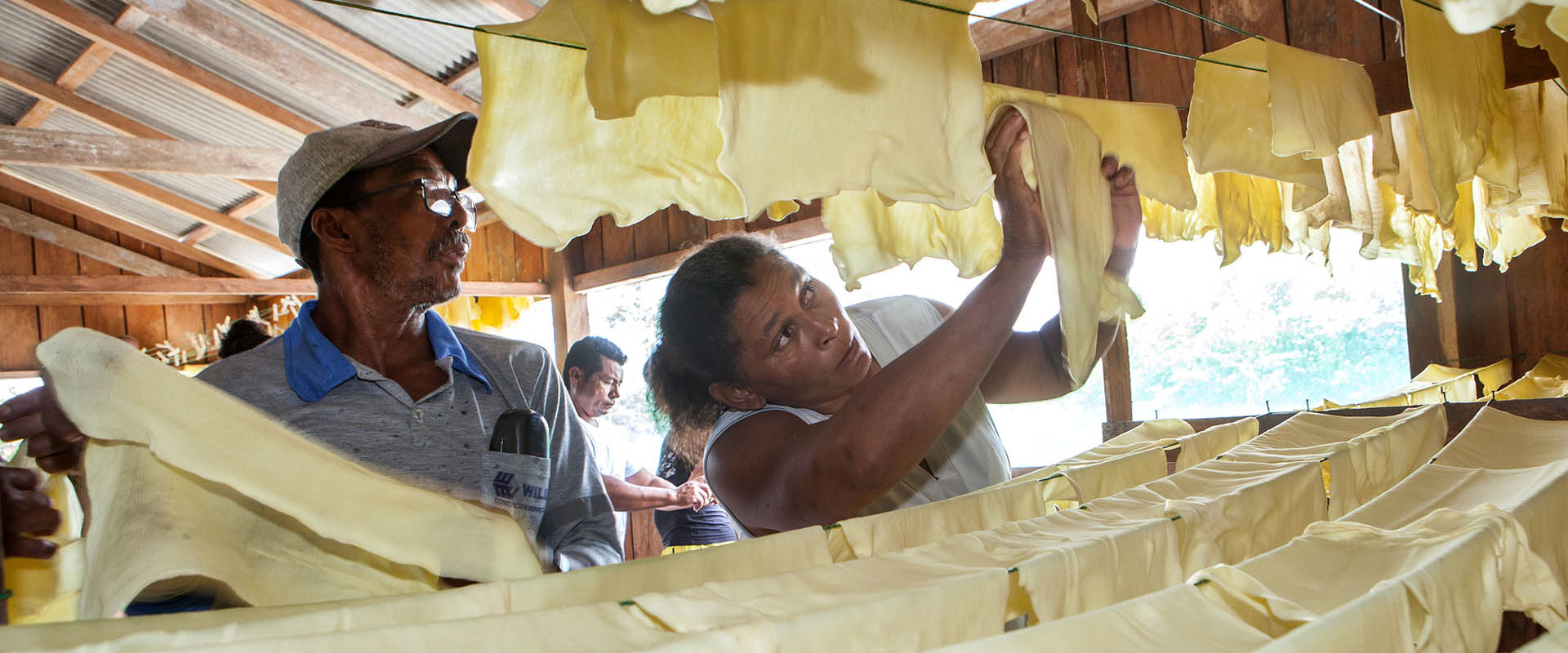 Dia Internacional dos Povos Indígenas: aprendizados que a reconstrução da cadeia sustentável da borracha propicia à indústria