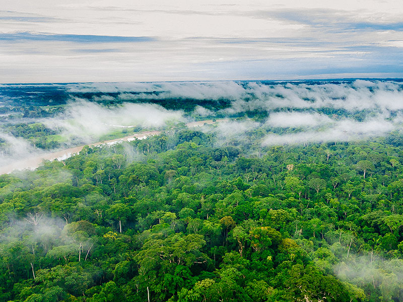 Mercur lança série de vídeos sobre os biomas brasileiros