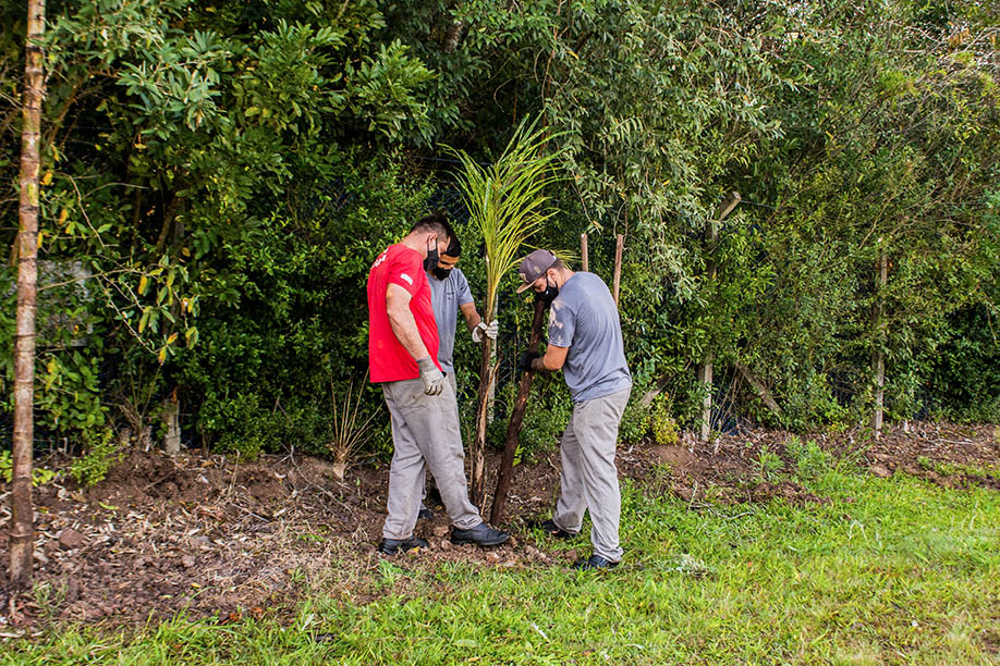 Compensação ambiental