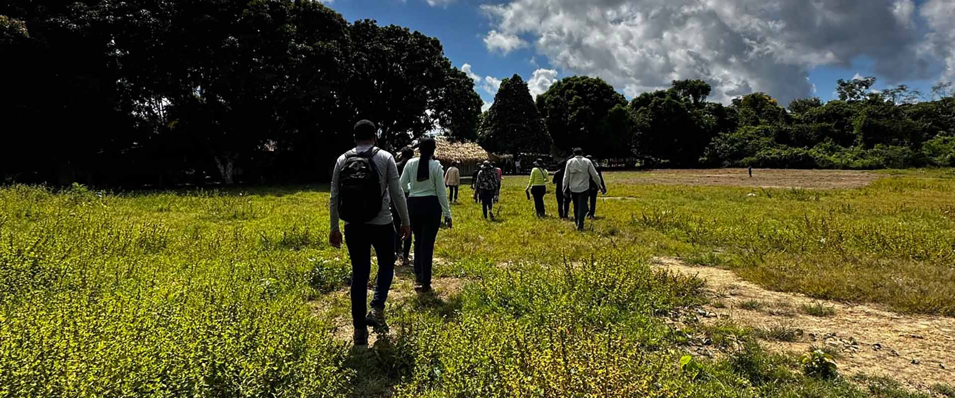Da seringueira até a borracha natural: Mercur reforça posicionamento sustentável
