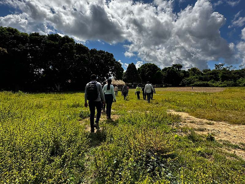 Da seringueira até a borracha natural: Mercur reforça posicionamento sustentável